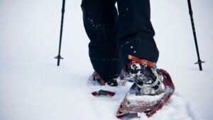 raquette à neige