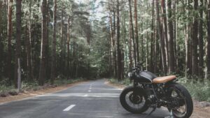 moto dans une forêt