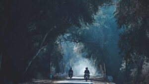 moto dans la forêt